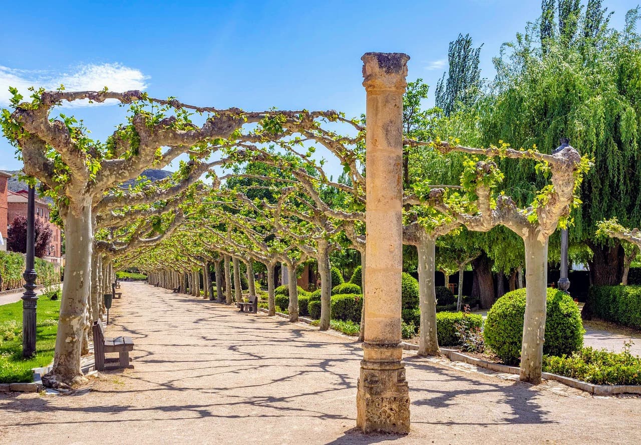 Compra Venta de Empresas en Soria